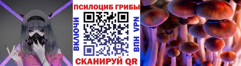 Галлюциногенные грибы Cubensis  Салават 