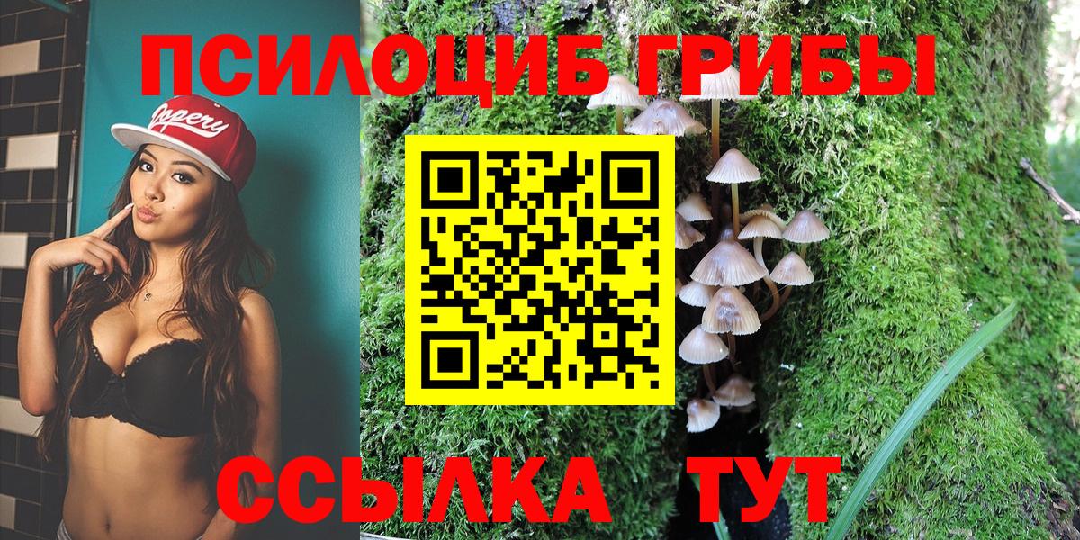 Псилоцибиновые грибы Cubensis  наркошоп  Салават  Вход с VPN 